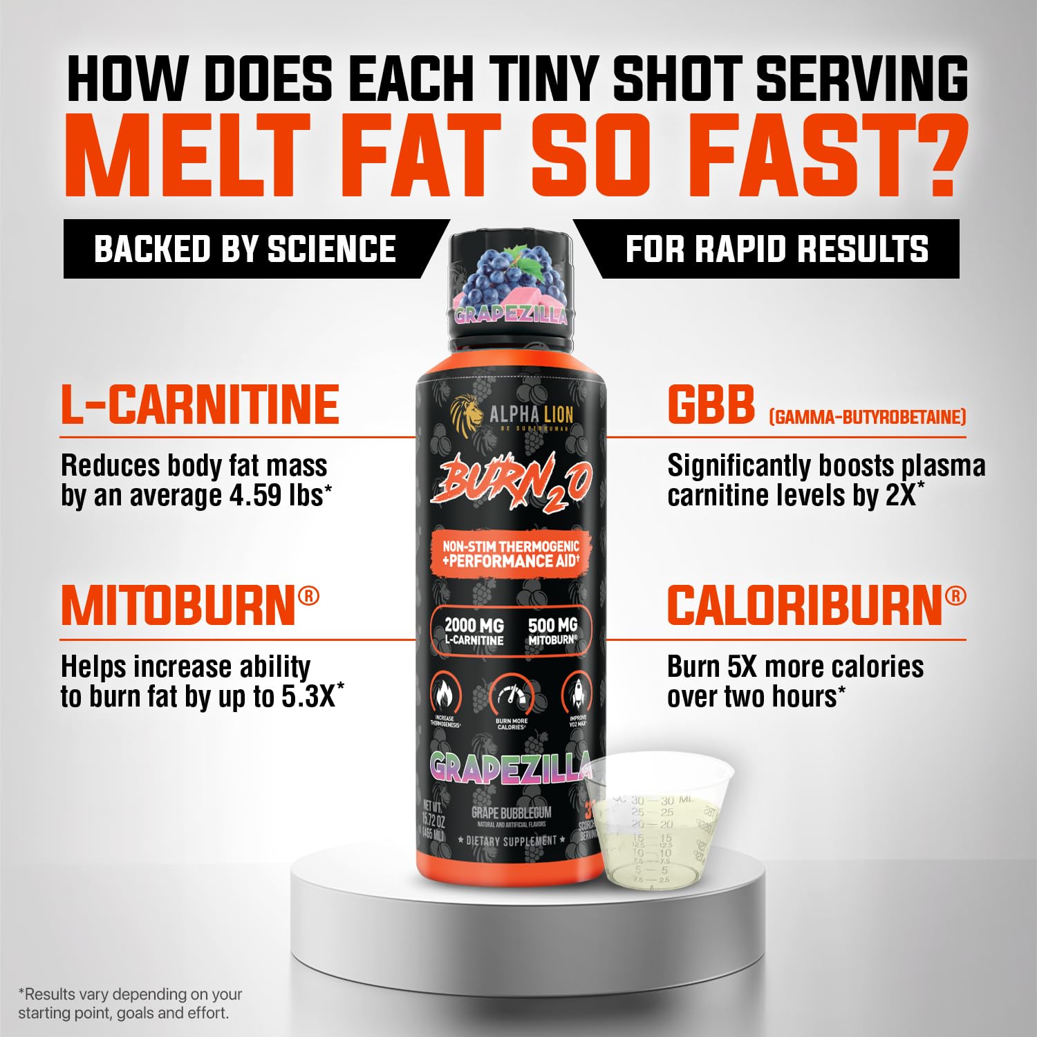 ALPHA LION Burn2O L-Carnitine Liquid 2000mg – Stim Free Super Thermogenic Fat Burner with MitoBurn® & CaloriBurn GP®, Metabolism Booster, Zero Calorie - dailyvitalstore