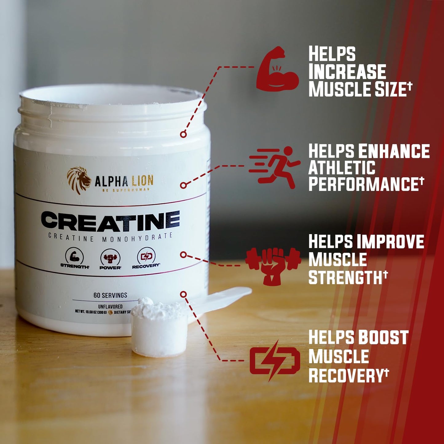 ALPHA LION Creatine Monohydrate Powder, 5000mg Per Serving (5g), Supports Muscle Strength, Power, Athletic Performance, Pure Creatina Monohydrata - dailyvitalstore
