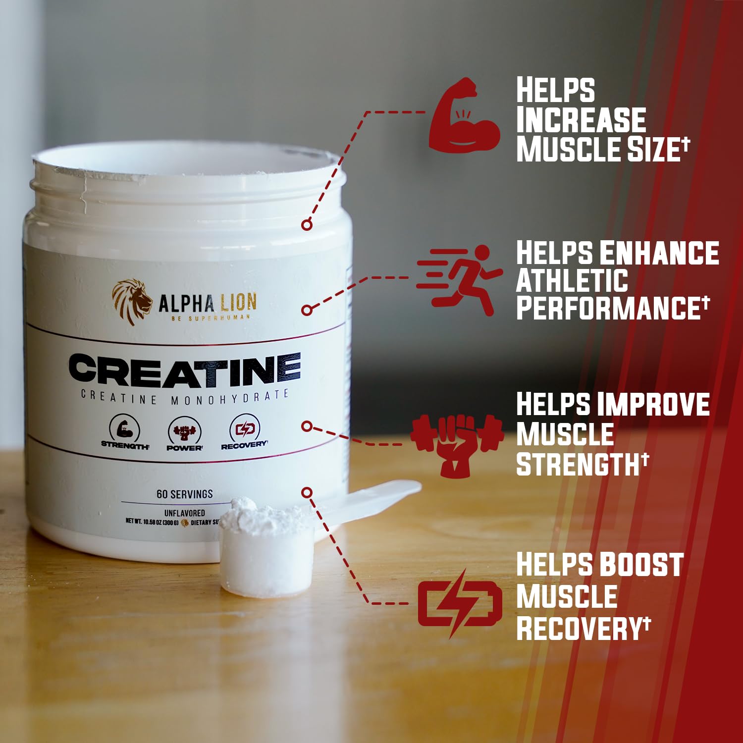 ALPHA LION Creatine Monohydrate Powder, 5000mg Per Serving (5g), Supports Muscle Strength, Power, Athletic Performance, Pure Creatina Monohydrata - dailyvitalstore