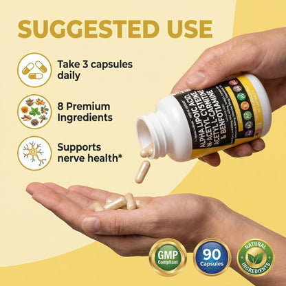 Alpha Lipoic Acid 600mg N-Acetyl Cysteine 600mg Acetyl L-Carnitine 500mg Benfotiamine 300mg - Nerve Support Supplement for Women and Men - dailyvitalstore
