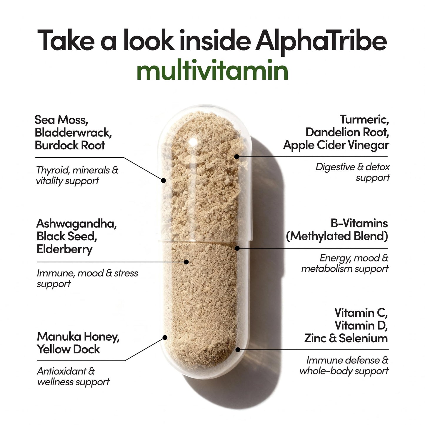 Alpha Tribe Multivitamin for Men & Organizer w/Seamoss Black Seed Oil Ashwagandha Burdock Root Turmeric Bladderwrack Vitamin C | Daily Men's Vitamins & Minerals Supplement | 60 Count - dailyvitalstore