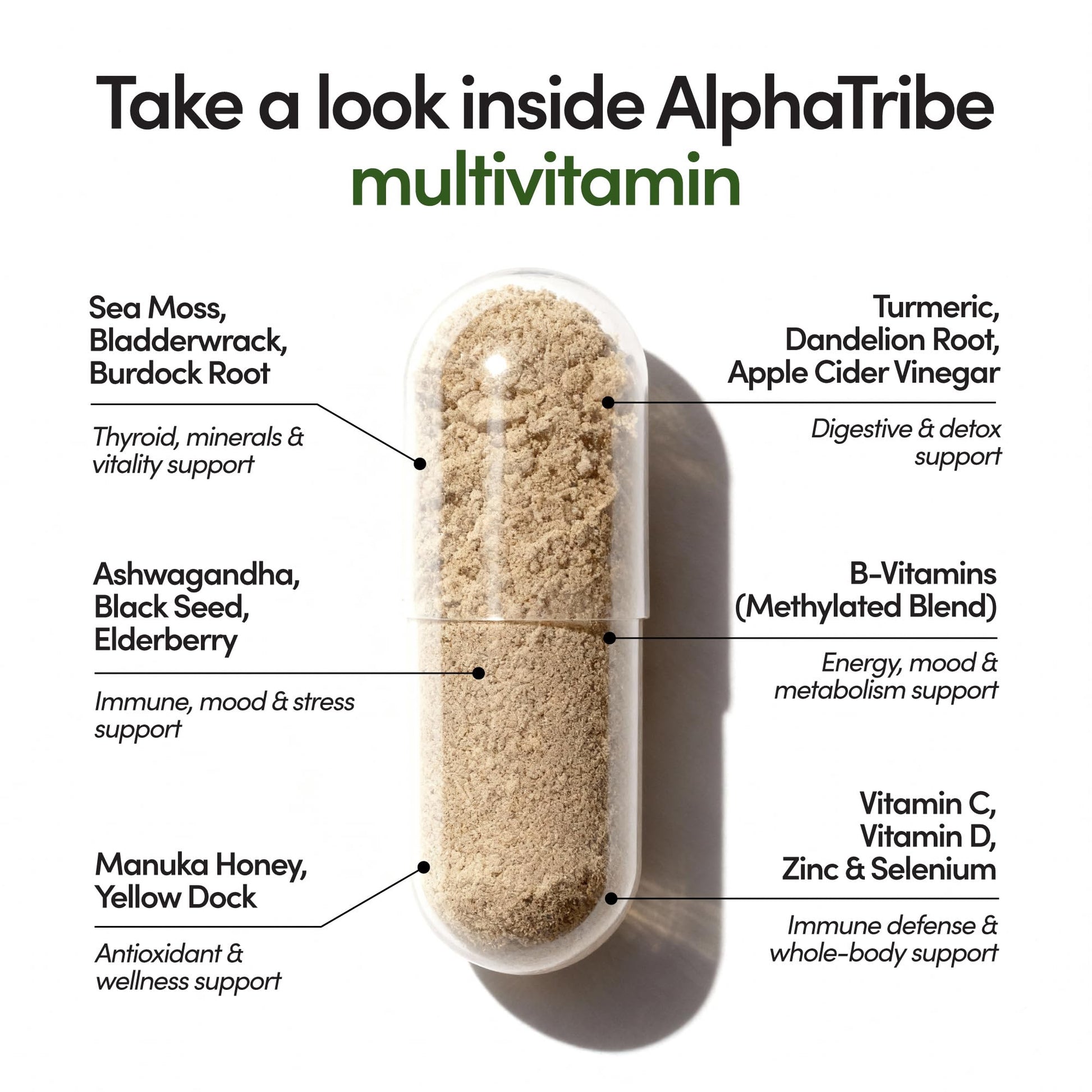 Alpha Tribe Multivitamin for Men & Organizer w/Seamoss Black Seed Oil Ashwagandha Burdock Root Turmeric Bladderwrack Vitamin C | Daily Men's Vitamins & Minerals Supplement | 60 Count - dailyvitalstore