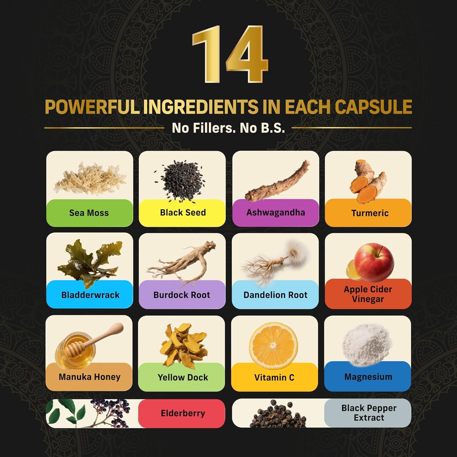 Alpha Tribe Multivitamin for Men with Sea Moss, Black Seed Oil, Ashwagandha, Turmeric, Bladderwrack, Burdock, Vitamin C, Elderberry, Manuka | Daily Vitamins & Minerals Supplement Capsules - 240 Count - dailyvitalstore
