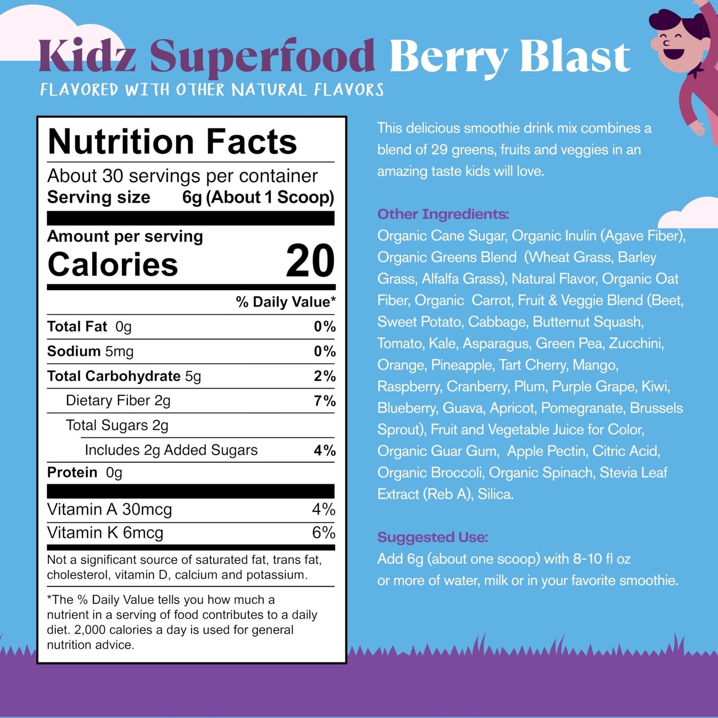 Amazing Grass Kidz Superfood: Organic Greens, Fruits, Veggies, Beet Root Powder & Probiotics for Healthy Kids, Berry Blast, 30 Servings - dailyvitalstore