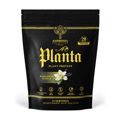 Ambrosia Plant Based Protein Powder 20g | Clean Vegan Pea Protein Powder | Gluten & Dairy Free, Keto Friendly, No Added Sugar | 14 Servings | Vanilla - dailyvitalstore