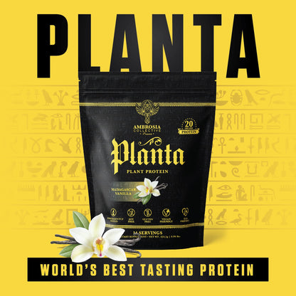 Ambrosia Plant Based Protein Powder 20g | Clean Vegan Pea Protein Powder | Gluten & Dairy Free, Keto Friendly, No Added Sugar | 14 Servings | Vanilla - dailyvitalstore
