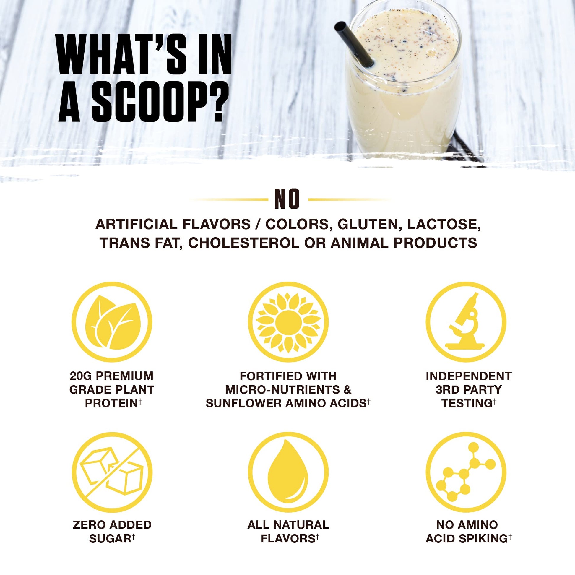 Ambrosia Plant Based Protein Powder 20g | Clean Vegan Pea Protein Powder | Gluten & Dairy Free, Keto Friendly, No Added Sugar | 14 Servings | Vanilla - dailyvitalstore