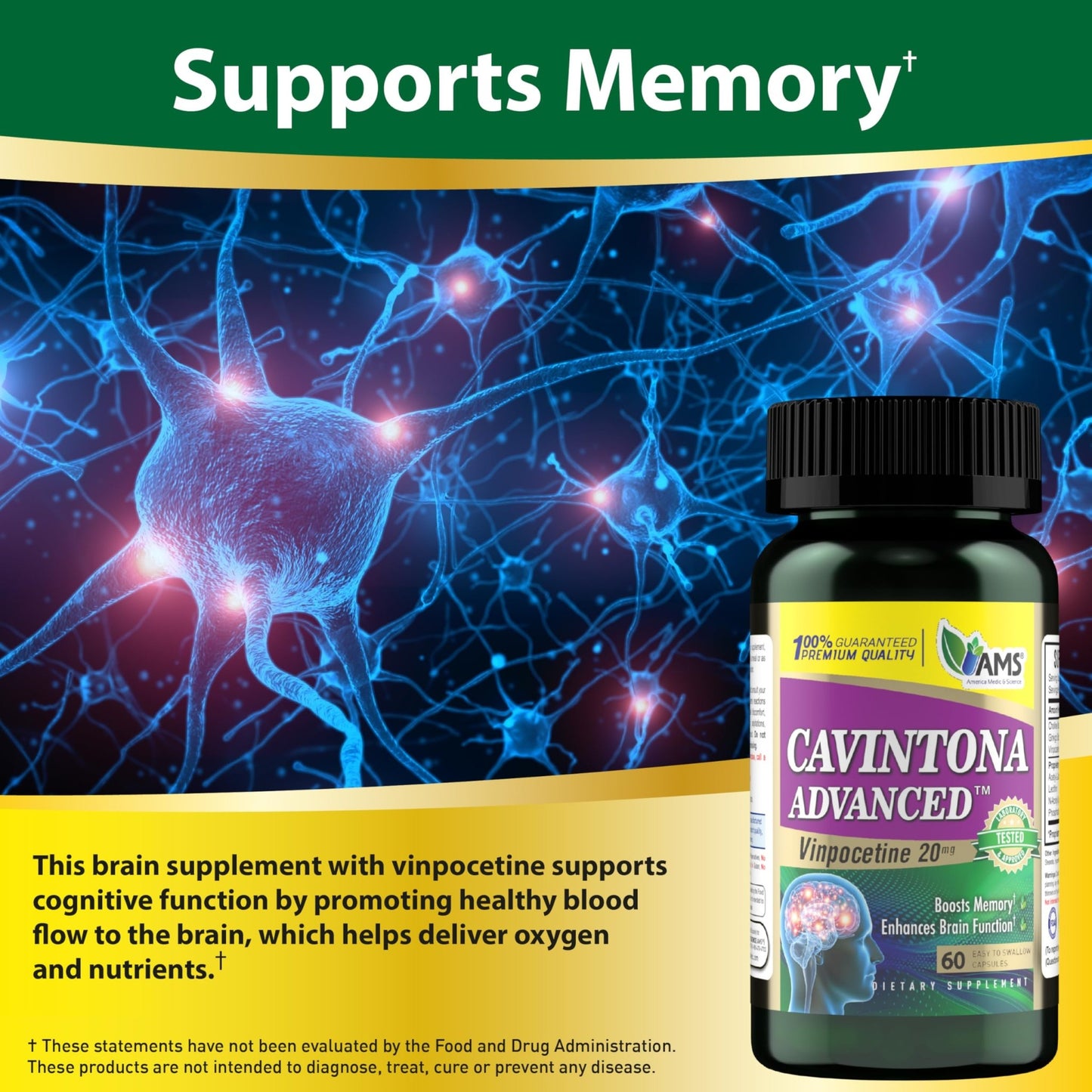 America Medic & Science Cavintona Advanced Supplement – Vinpocetine 20mg for Memory, Recall & Brain Health – Supports Cognitive Function, Focus, Mental Clarity & Blood Flow – 60 Capsules - dailyvitalstore