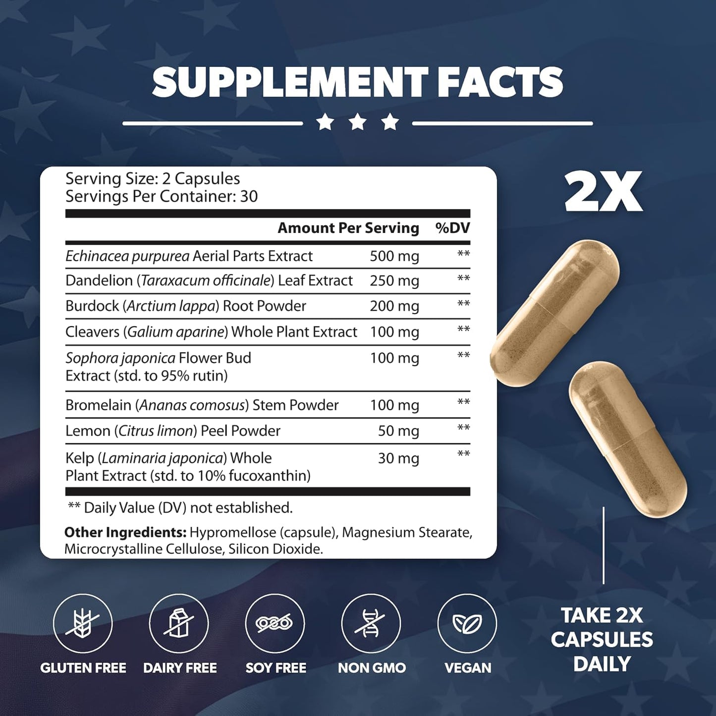 AMERICAN VITALITY LymphaVive Lymphatic Drainage Supplements for Men & Women - Lymphatic Support with Bromelain, Echinacea, Burdock Root, Dandelion, Rutin, Kelp - 60 Capsules - dailyvitalstore