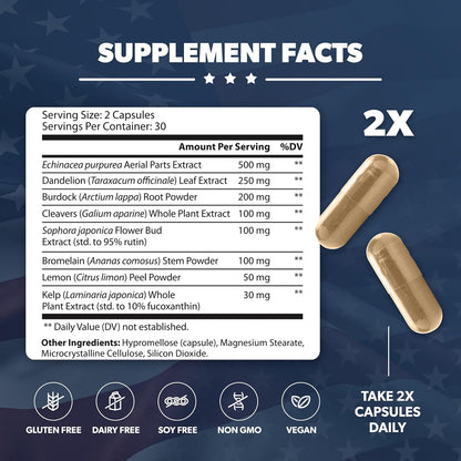 AMERICAN VITALITY LymphaVive Lymphatic Drainage Supplements for Men & Women - Lymphatic Support with Bromelain, Echinacea, Burdock Root, Dandelion, Rutin, Kelp - 60 Capsules - dailyvitalstore