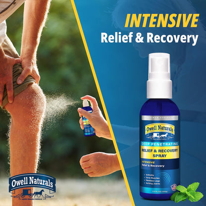 Amish Origins Deep Penetrating Pain Relief Liquid Spray - Fast-Acting, Natural Relief for Muscle Aches, Joint Pain, and Stiffness - 3.5 oz Spray Bottle - dailyvitalstore