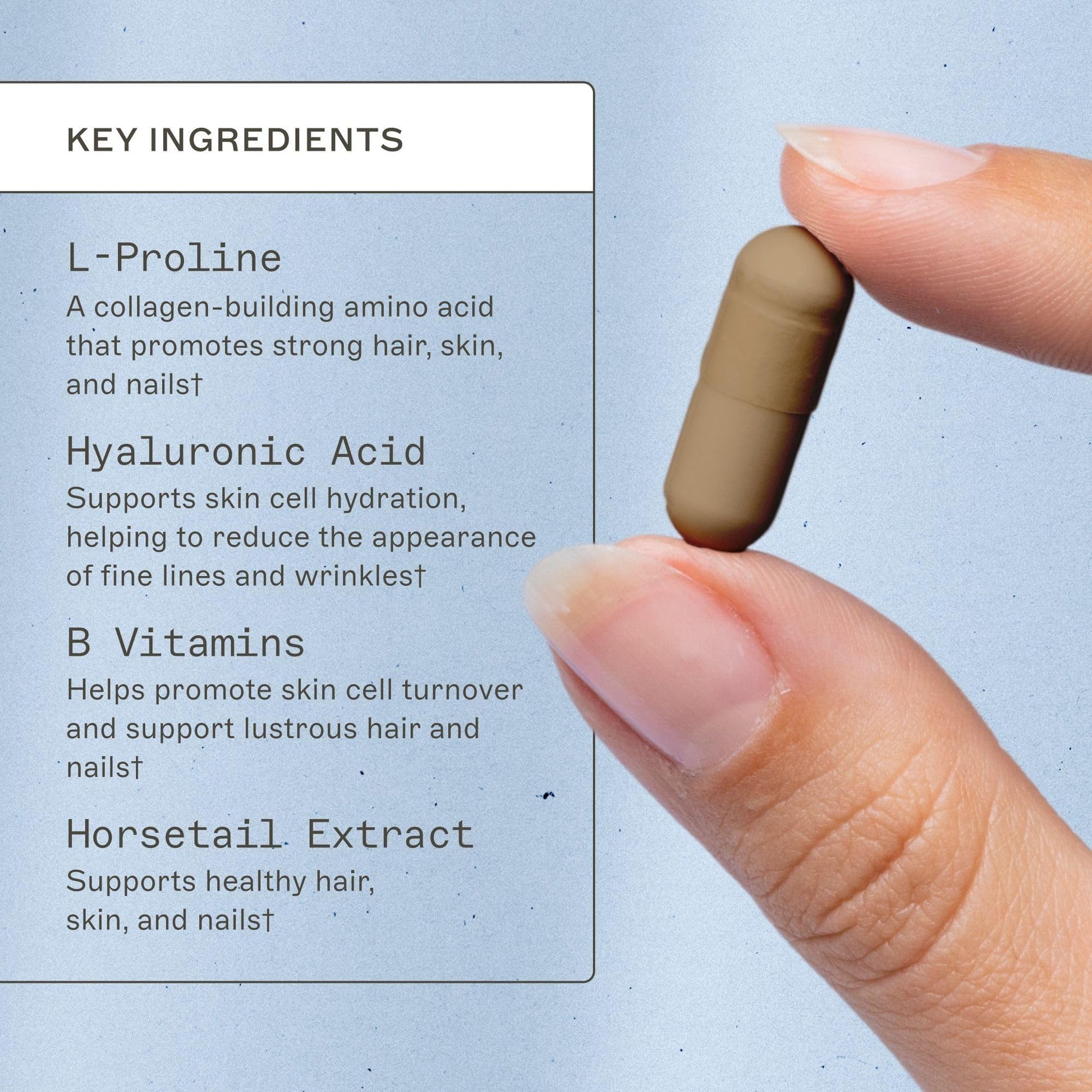 Amy Myers MD Hair Skin and Nails - Supports Strong Hair, Radiant Skin & Healthy Nails - L-Proline, Horsetail, Hyaluronic Acid - Gluten-Free - 120 Capsules (30 Servings) - dailyvitalstore