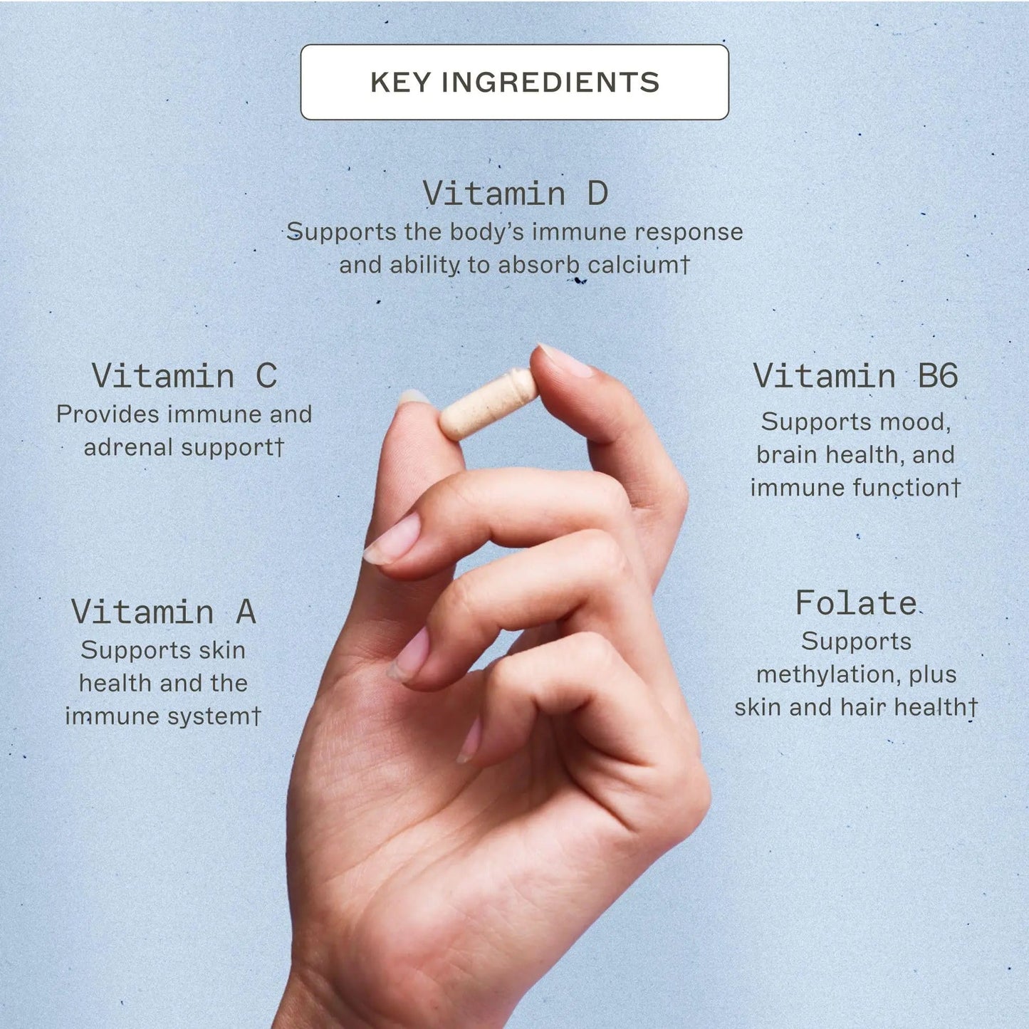 Amy Myers MD The Myers Way Multivitamin - Supports Healthy Immune, Thyroid & Adrenal Function - dailyvitalstore