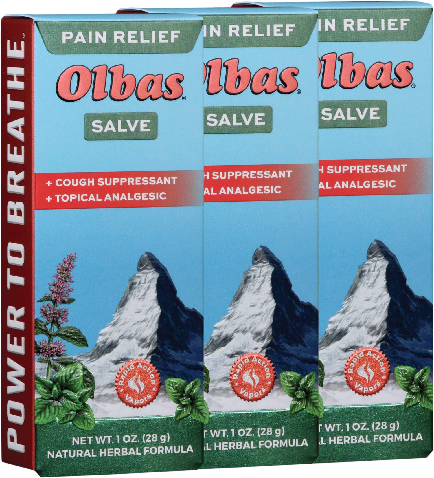 Analgesic Salve Tube 1 oz. (3 Pack) - dailyvitalstore