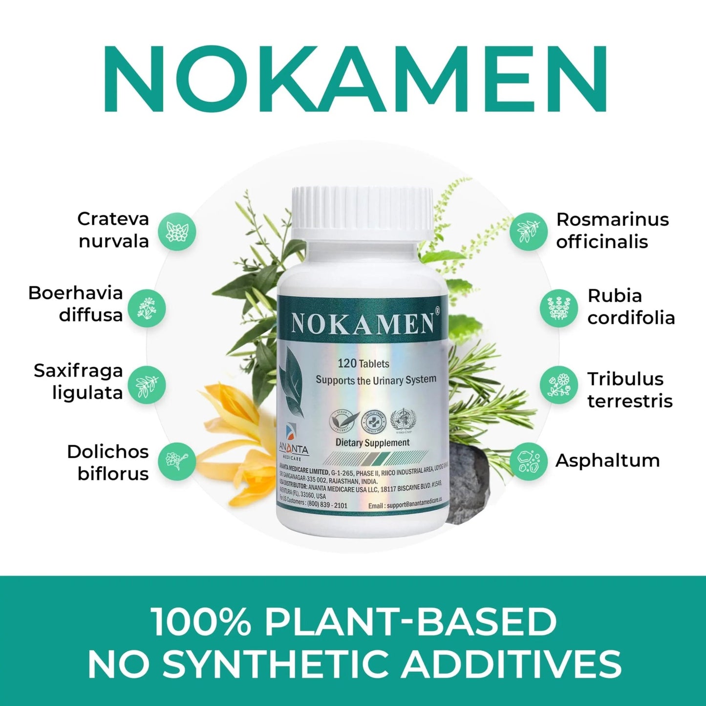 Ananta Medicare USA NOKAMEN – Kidney & Urinary Tract Support Herbal Formula, 120 Tabs - dailyvitalstore