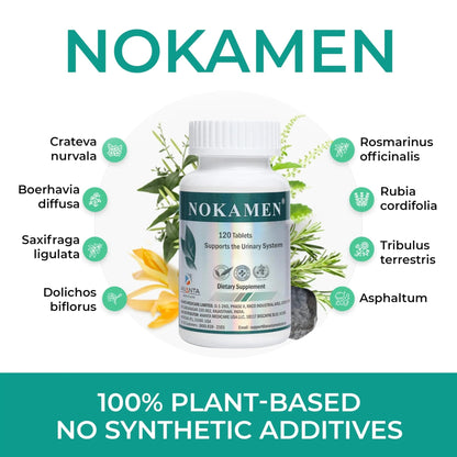 Ananta Medicare USA NOKAMEN – Kidney & Urinary Tract Support Herbal Formula, 120 Tabs - dailyvitalstore