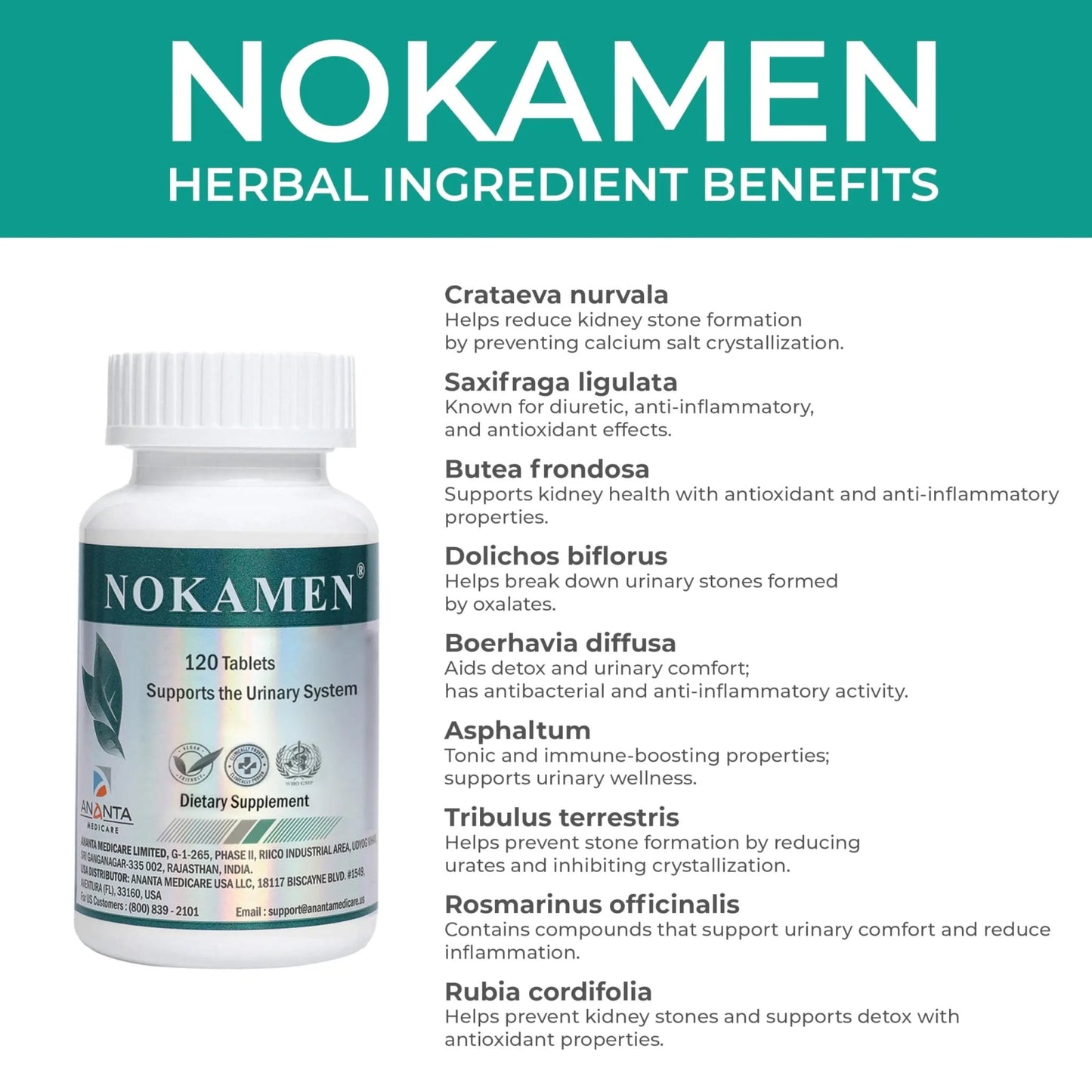 Ananta Medicare USA NOKAMEN – Kidney & Urinary Tract Support Herbal Formula, 120 Tabs - dailyvitalstore