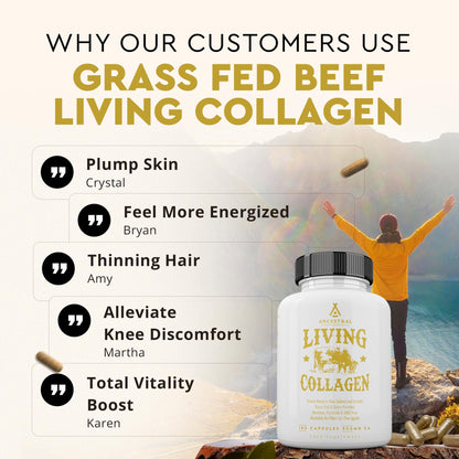 Ancestral Supplements Grass Fed Beef Living Collagen Nutritional Powder Supplement, 3000mg, Promotes Healthier, Younger Looking Skin, Hair - dailyvitalstore