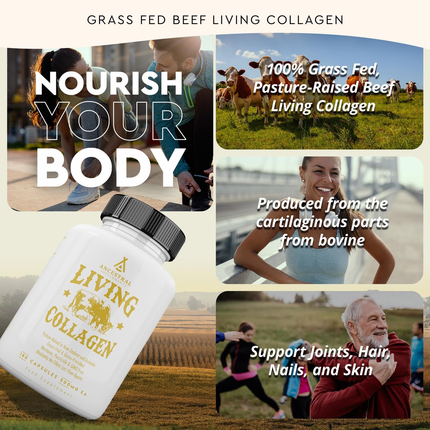 Ancestral Supplements Grass Fed Beef Living Collagen Nutritional Powder Supplement, 3000mg, Promotes Healthier, Younger Looking Skin, Hair - dailyvitalstore