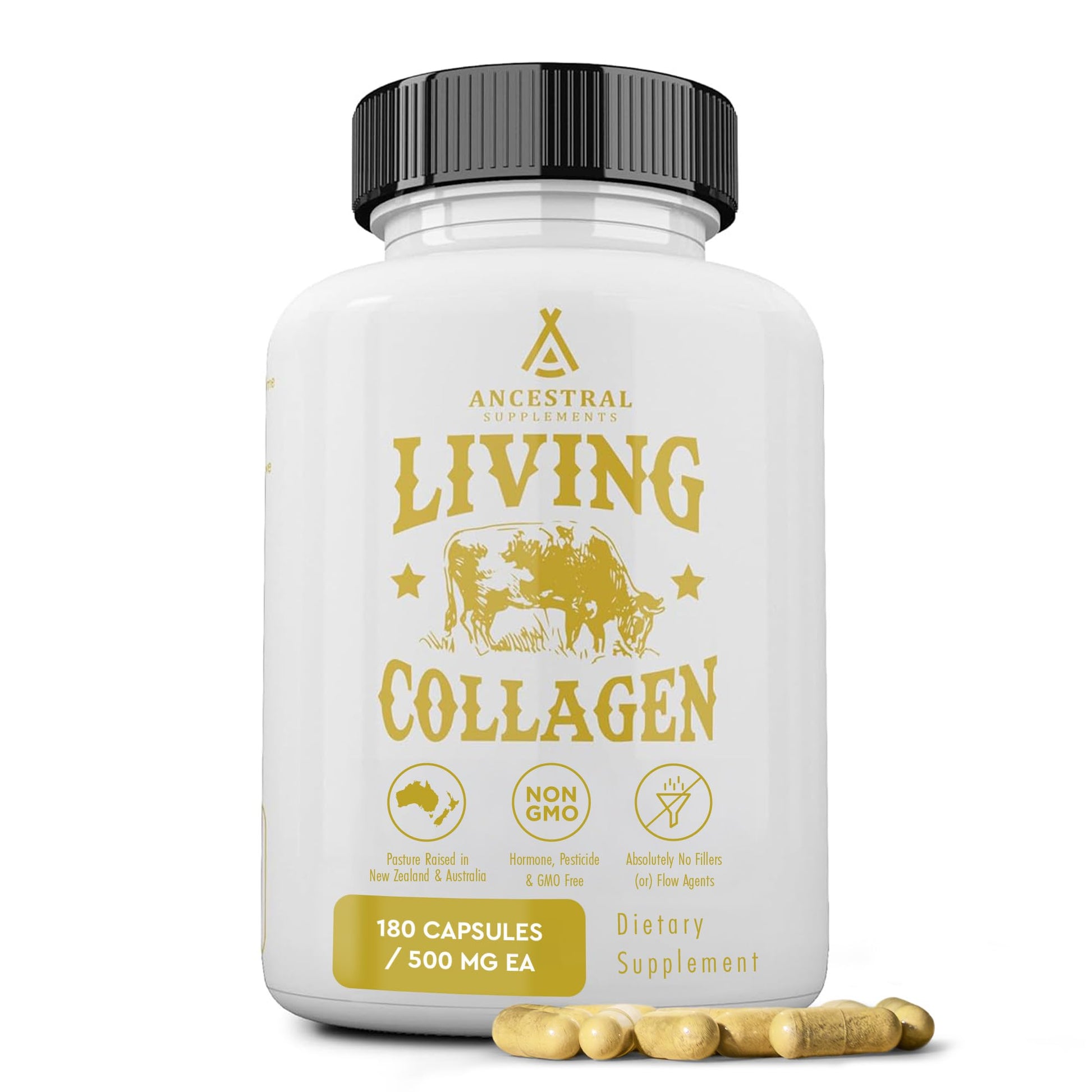 Ancestral Supplements Grass Fed Beef Living Collagen Nutritional Powder Supplement, 3000mg, Promotes Healthier, Younger Looking Skin, Hair - dailyvitalstore