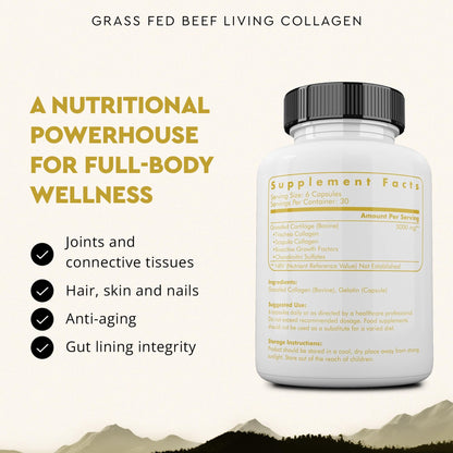 Ancestral Supplements Grass Fed Beef Living Collagen Nutritional Powder Supplement, 3000mg, Promotes Healthier, Younger Looking Skin, Hair - dailyvitalstore
