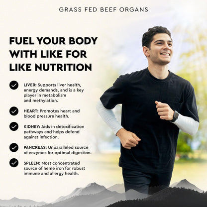 Ancestral Supplements Grass Fed Beef Organ Supplement, Supports Whole Body Wellness with Proprietary Blend of Liver, Heart, Kidney, Pancreas, Spleen, Freeze-Dried Beef, Non-GMO, 180 Capsules - dailyvitalstore