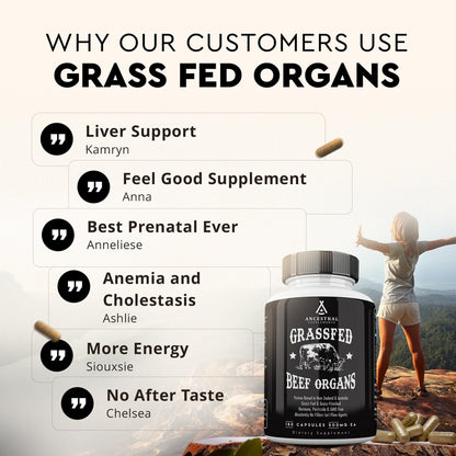 Ancestral Supplements Grass Fed Beef Organ Supplement, Supports Whole Body Wellness with Proprietary Blend of Liver, Heart, Kidney, Pancreas, Spleen, Freeze-Dried Beef, Non-GMO, 180 Capsules - dailyvitalstore