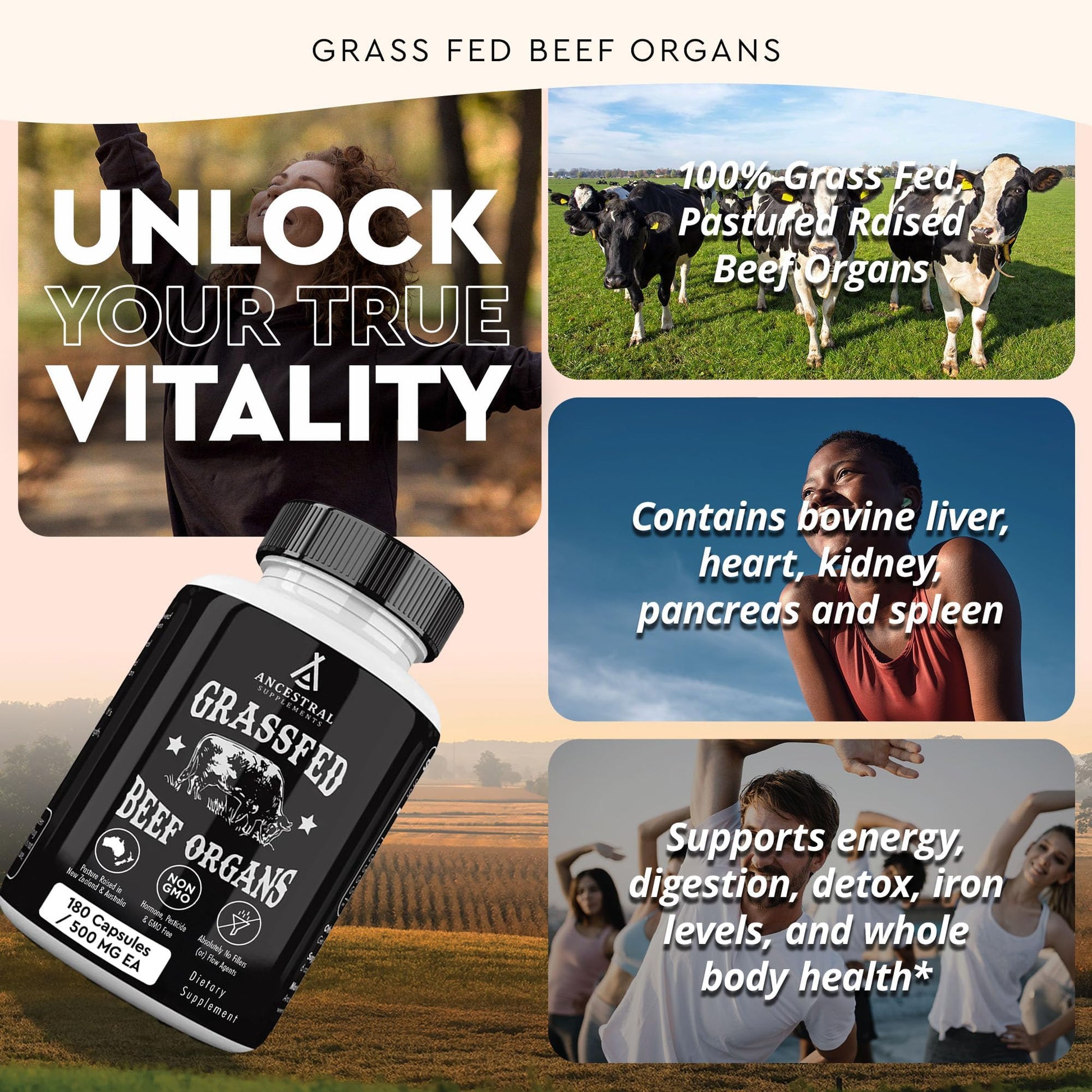Ancestral Supplements Grass Fed Beef Organ Supplement, Supports Whole Body Wellness with Proprietary Blend of Liver, Heart, Kidney, Pancreas, Spleen, Freeze-Dried Beef, Non-GMO, 180 Capsules - dailyvitalstore