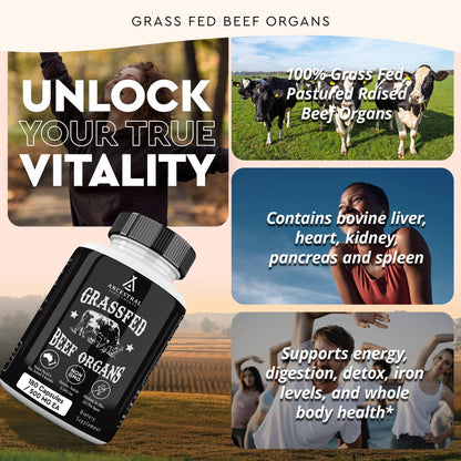 Ancestral Supplements Grass Fed Beef Organ Supplement, Supports Whole Body Wellness with Proprietary Blend of Liver, Heart, Kidney, Pancreas, Spleen, Freeze-Dried Beef, Non-GMO, 180 Capsules - dailyvitalstore