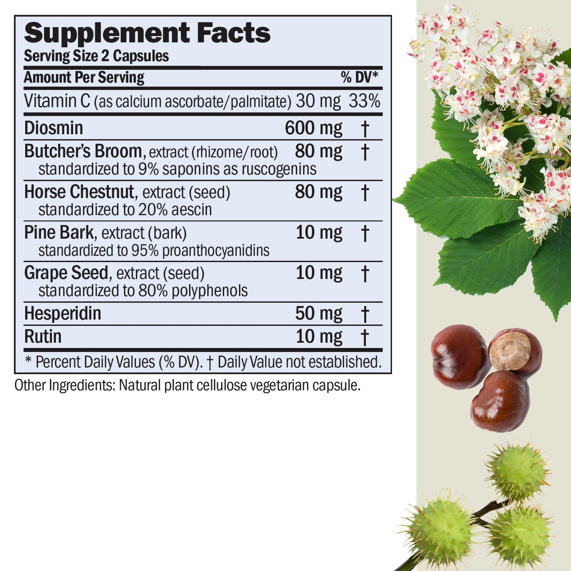 ANDREW LESSMAN Circulation, Vein Support for Healthy Legs 180 Capsules - High Bioactivity Diosmin, Butcher's Broom, Visibly Reduces Swelling and Discomfort in Feet, Ankles, Calves, Legs - dailyvitalstore