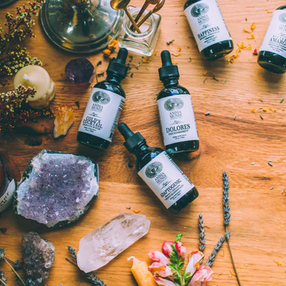 Anima Mundi Apothecary Dolores Tonic - Herbal Pain Management Supplement - Liquid Drops for Pain Management Support (2oz / 59ml) - dailyvitalstore