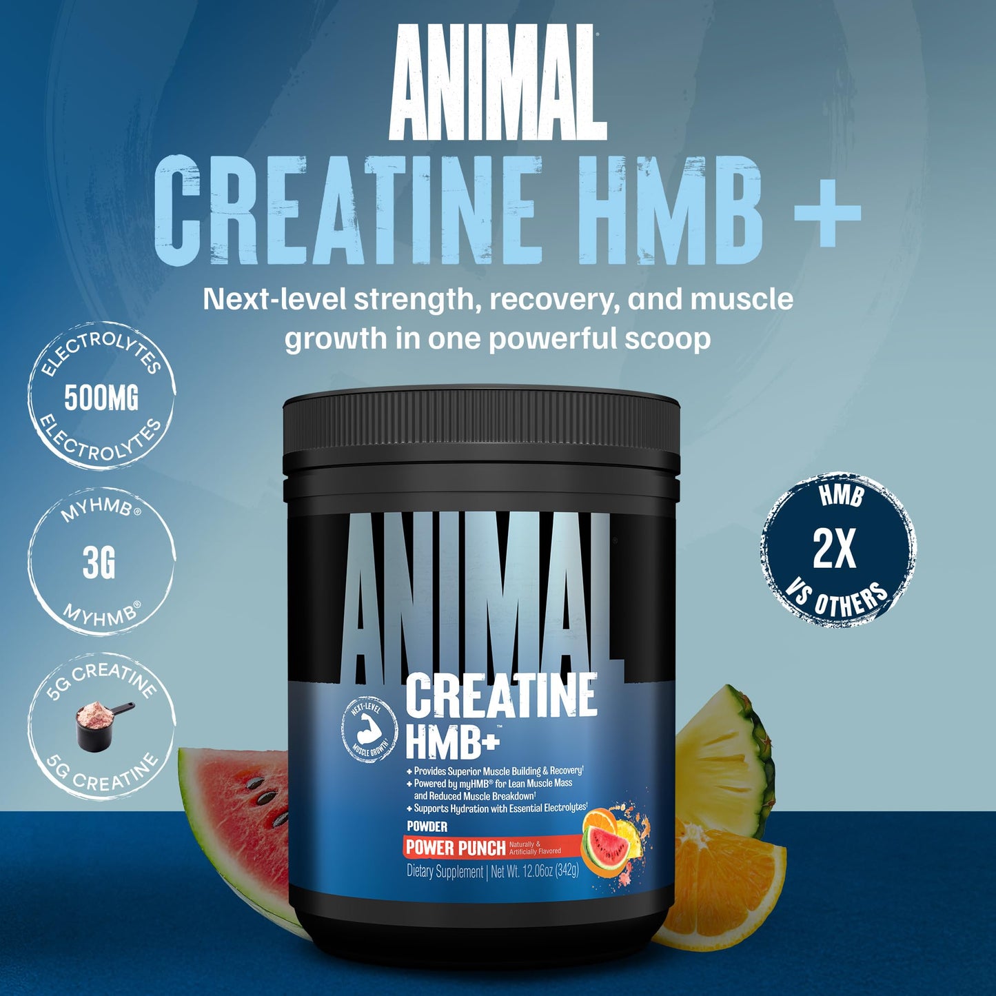 Animal Creatine HMB Powder – 3g myHMB + 5g Creatine with Electrolytes for Recovery & Daily Energy – Power Punch Flavor, 30 Servings - dailyvitalstore