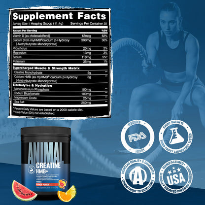 Animal Creatine HMB Powder – 3g myHMB + 5g Creatine with Electrolytes for Recovery & Daily Energy – Power Punch Flavor, 30 Servings - dailyvitalstore