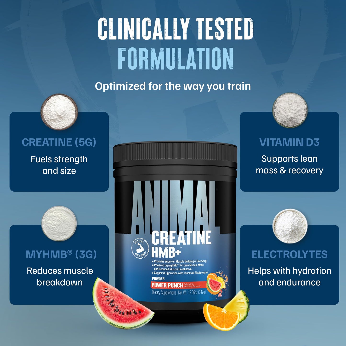 Animal Creatine HMB Powder – 3g myHMB + 5g Creatine with Electrolytes for Recovery & Daily Energy – Power Punch Flavor, 30 Servings - dailyvitalstore