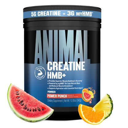 Animal Creatine HMB Powder – 3g myHMB + 5g Creatine with Electrolytes for Recovery & Daily Energy – Power Punch Flavor, 30 Servings - dailyvitalstore
