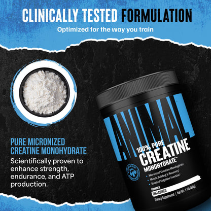 Animal Creatine Monohydrate Powder - Micronized Creatine for Women and Men, Supports Muscle Growth, Strength, Endurance, Recovery and ATP Production, - dailyvitalstore