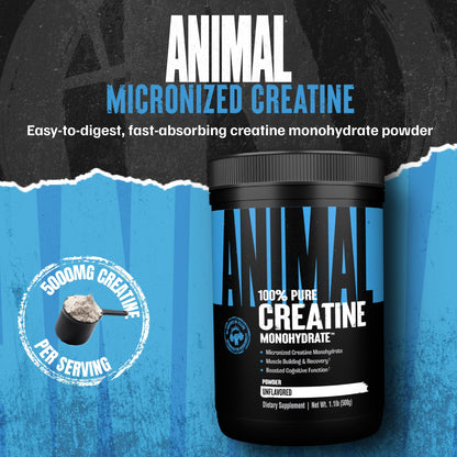 Animal Creatine Monohydrate Powder - Micronized Creatine for Women and Men, Supports Muscle Growth, Strength, Endurance, Recovery and ATP Production, - dailyvitalstore