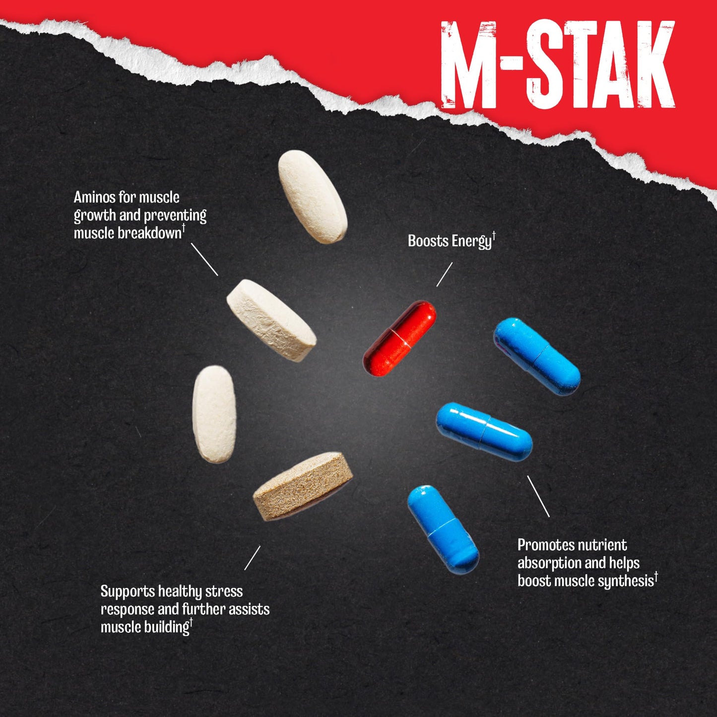 Animal M-Stak - Muscle Builder and Anabolic Mass Gainer Supplement for Bodybuilding - Lean Muscle Growth, Amino Complex and Pre Workout Energy, 21 Packs - dailyvitalstore