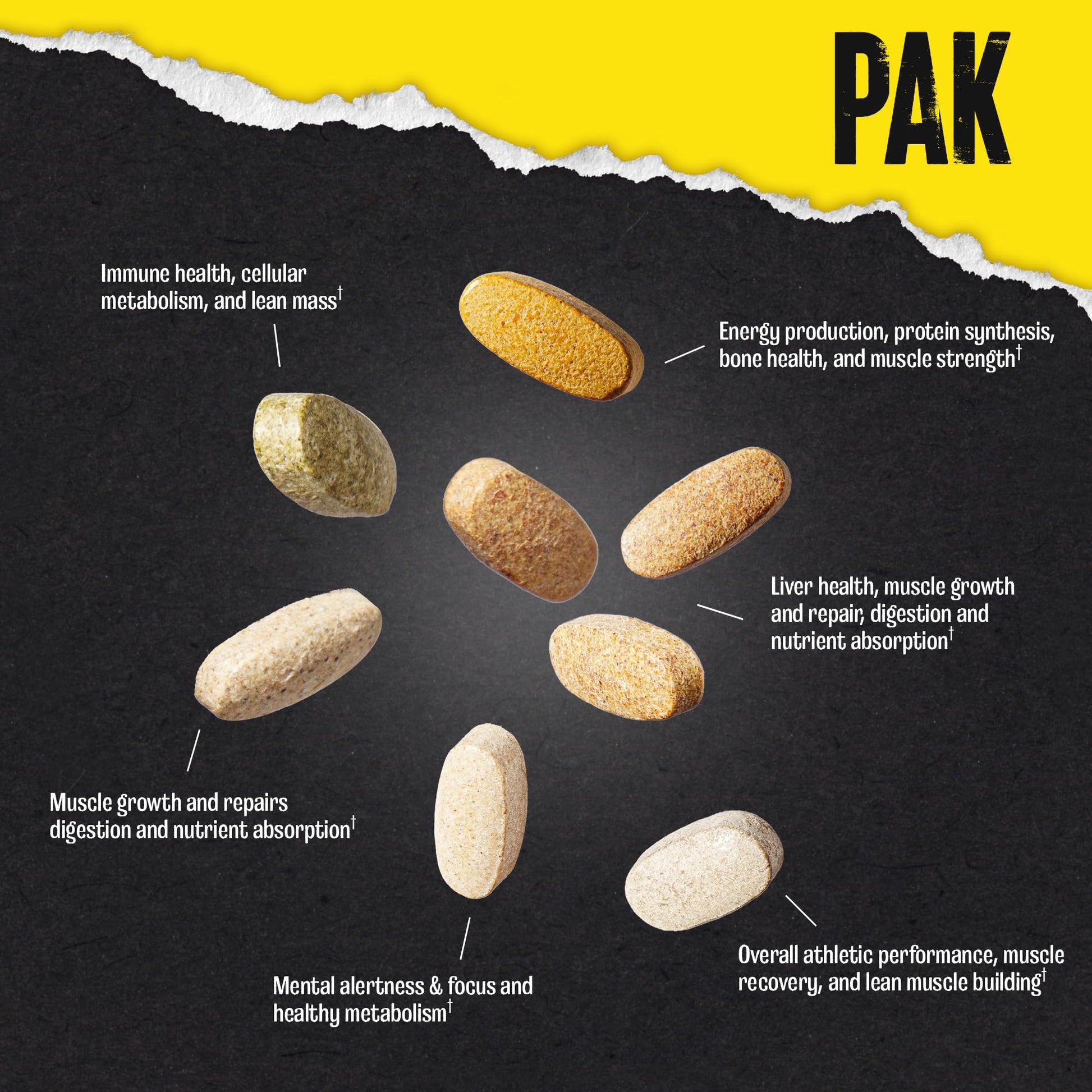 Animal Pak - Convenient Multivitamin for Men & Women Daily All-in-One Vitamin & Supplement Pack - Zinc, Vitamins C, B, D, Amino Acids, and Immune Support - Sports Nutrition Performance - 44 Count - dailyvitalstore