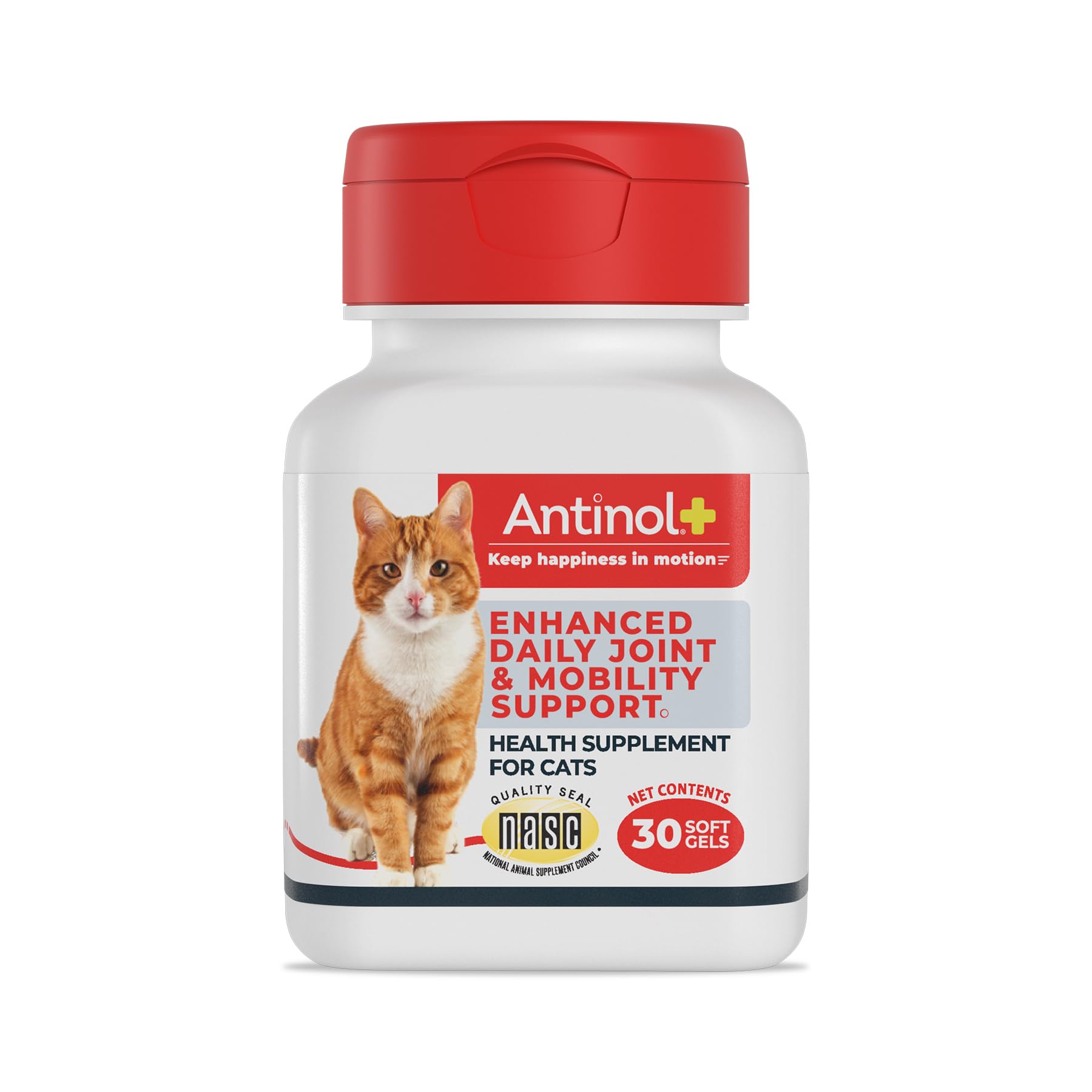 Antinol Plus, Mobility, Hip, and Joint Supplement for Cats, Green-Lipped Mussels and Krill Oil - Cat Joint Supplement, 30 Soft Gels - dailyvitalstore