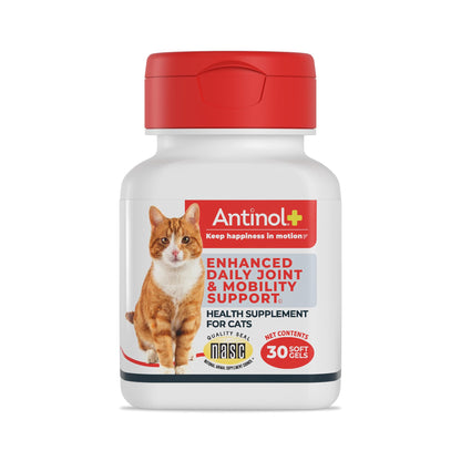 Antinol Plus, Mobility, Hip, and Joint Supplement for Cats, Green-Lipped Mussels and Krill Oil - Cat Joint Supplement, 30 Soft Gels - dailyvitalstore