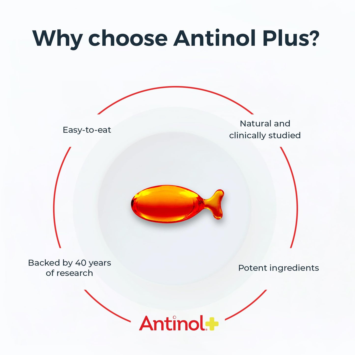 Antinol Plus, Mobility, Hip, and Joint Supplement for Cats, Green-Lipped Mussels and Krill Oil - Cat Joint Supplement, 30 Soft Gels - dailyvitalstore