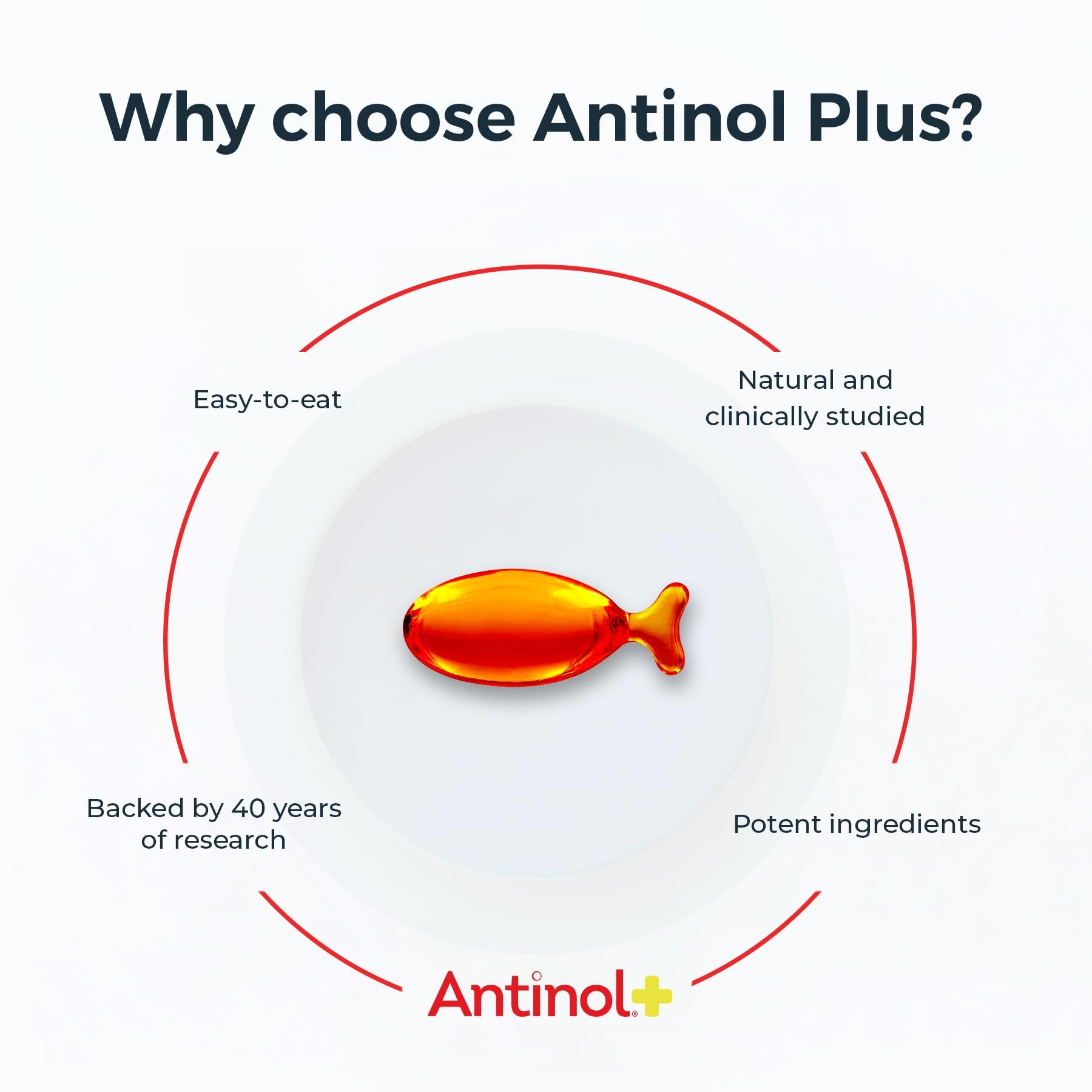 Antinol Plus, Mobility, Hip, and Joint Supplement for Cats, Green-Lipped Mussels and Krill Oil - Cat Joint Supplement, 60 Soft Gels - dailyvitalstore