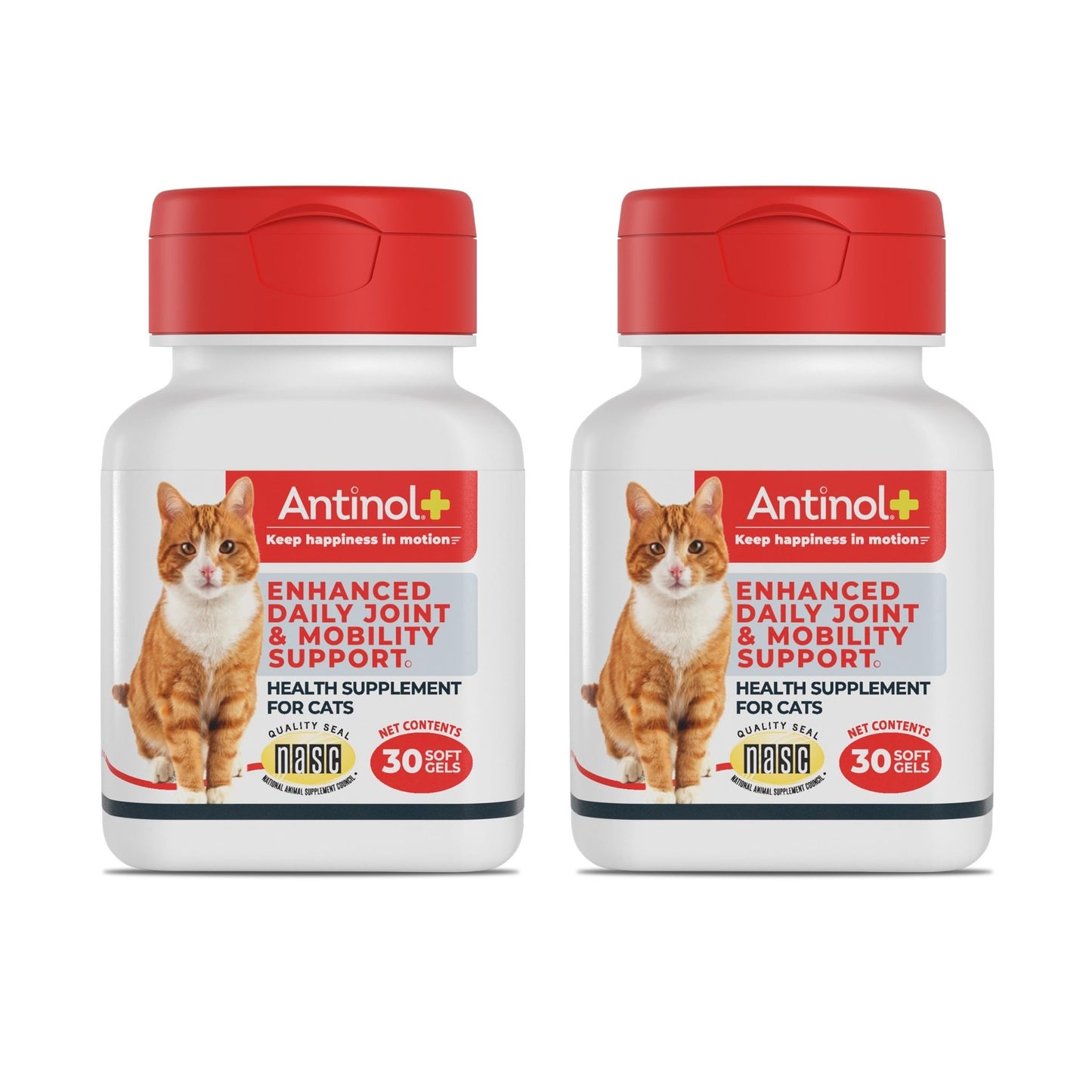 Antinol Plus, Mobility, Hip, and Joint Supplement for Cats, Green-Lipped Mussels and Krill Oil - Cat Joint Supplement, 60 Soft Gels - dailyvitalstore