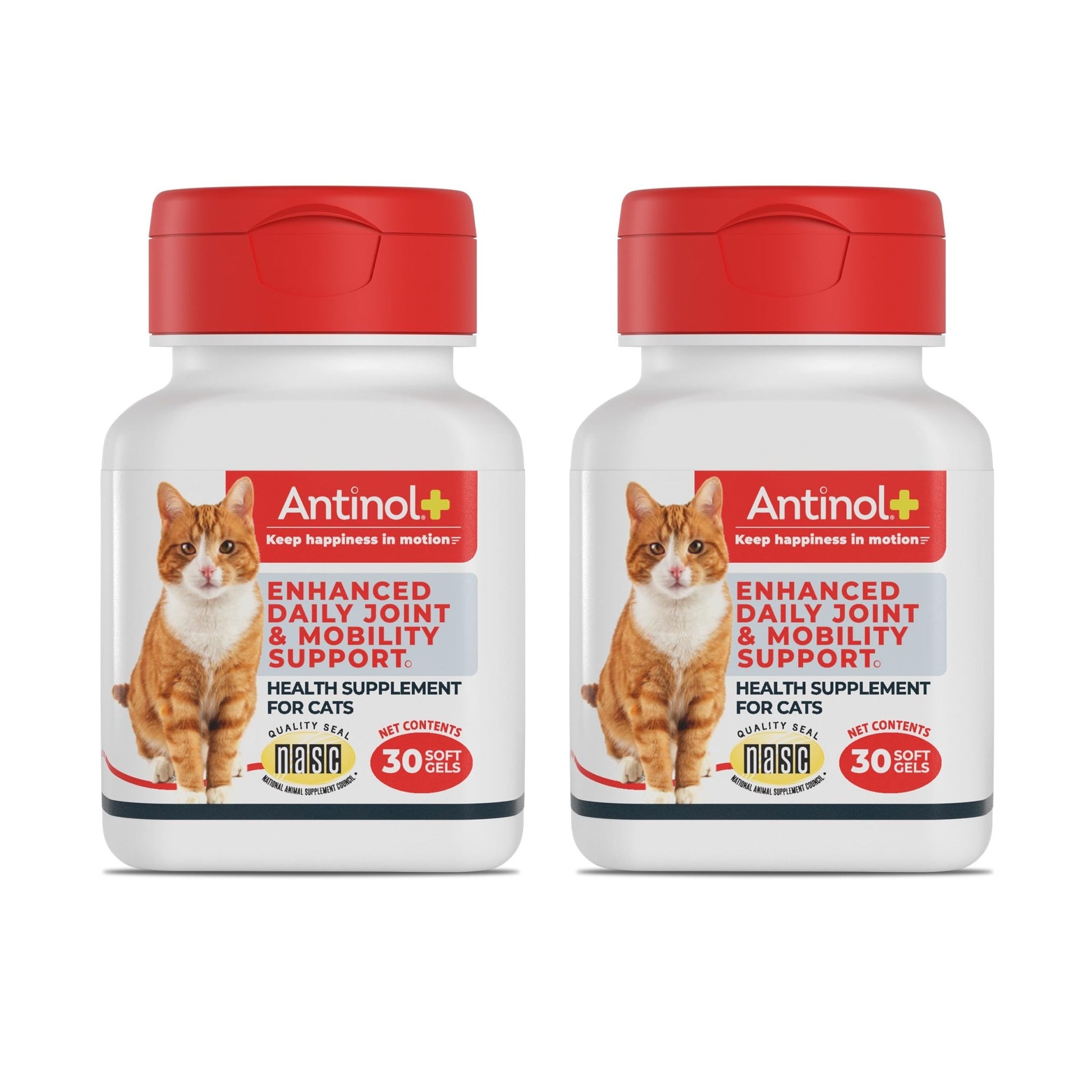 Antinol Plus, Mobility, Hip, and Joint Supplement for Cats, Green-Lipped Mussels and Krill Oil - Cat Joint Supplement, 60 Soft Gels - dailyvitalstore