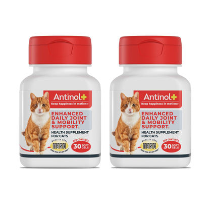 Antinol Plus, Mobility, Hip, and Joint Supplement for Cats, Green-Lipped Mussels and Krill Oil - Cat Joint Supplement, 60 Soft Gels - dailyvitalstore