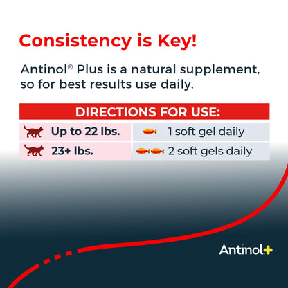 Antinol Plus, Mobility, Hip, and Joint Supplement for Cats, Green-Lipped Mussels and Krill Oil - Cat Joint Supplement, 60 Soft Gels - dailyvitalstore