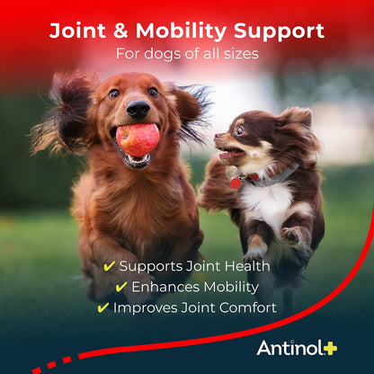 Antinol Plus, Mobility, Hip, and Joint Supplement for Dogs, Green-Lipped Mussels and Krill Oil - Dog Joint Supplement, Better and Faster Than Glucosamine and Chondroitin, 120 Soft Gels - dailyvitalstore
