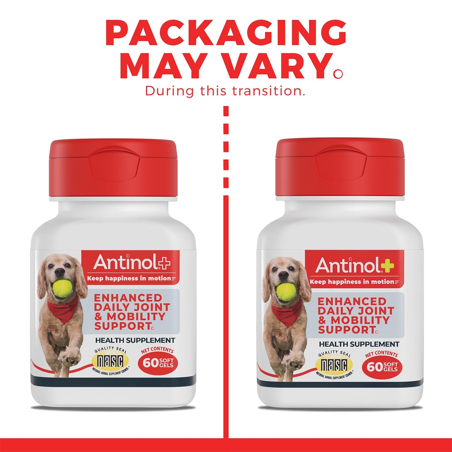 Antinol Plus, Mobility, Hip, and Joint Supplement for Dogs, Green-Lipped Mussels and Krill Oil - Dog Joint Supplement, Better and Faster Than Glucosamine and Chondroitin, 120 Soft Gels - dailyvitalstore