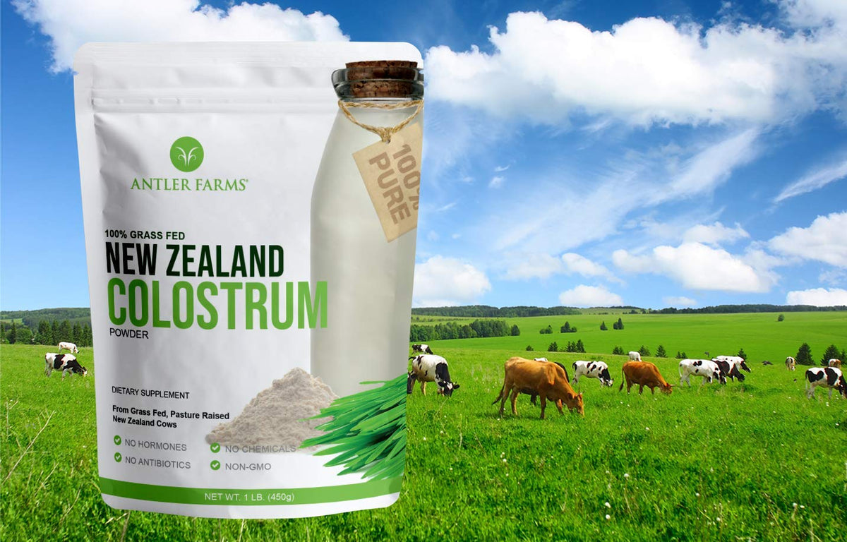 Antler Farms 100% Pure New Zealand Colostrum, 30 Servings, 1 lb - Grass Fed, Pasture Raised, Clean Sourced, Cold Processed, - dailyvitalstore